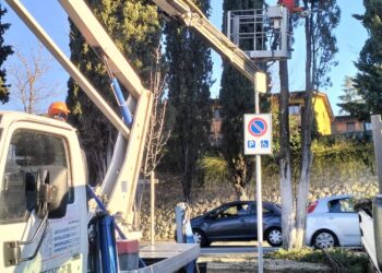 Censimento piante e alberi in città, interventi nell’area del Parco del Castello