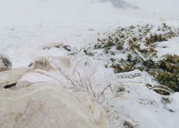 Discesa impervia per via del ghiaccio, soccorritori in azione per una comitiva di romani