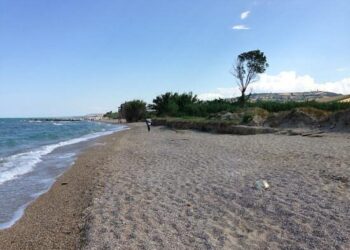 Riserva del Borsacchio, il sindacato Nugnes chiede ascolto alla Regione