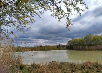 Benessere in natura per la Giornata mondiale delle Zone umide nell’Oasi Wwf