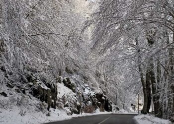Un premio di 2 mila euro ai giovani abruzzesi con idee da sviluppare nel Parco nazionale