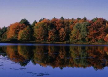 Il botanico Stefano Mancuso ospite della conferenza “Filosofia delle piante” all’Università “D’Annunzio”