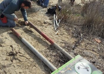 Non c’è pace per la Riserva Borsacchio: distrutti ancora i pali e i cartelli informativi