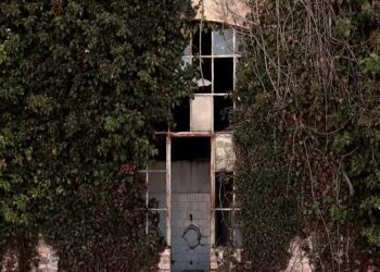 L’abruzzese Alessandra Condello vince il contest nazionale di fotografia con l’immagine dello zuccherificio