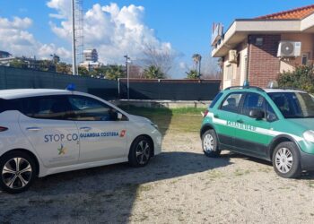 Liquami in una vasca non idonea, nei guai il titolare di un’azienda agricola