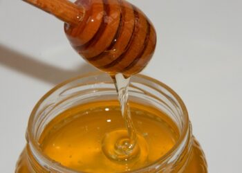 Premio miele del Sindaco 2023, Vince il Parco Nazionale del Gran Sasso e Monti della Laga in Abruzzo con il miele “Terre dell’Alto Aterno”