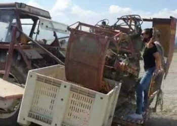 Agricoltura, Taccone (Fi): settore strategico da tutelare e valorizzare con interventi specifici