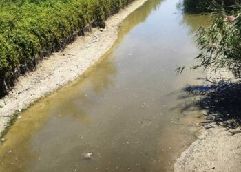 Liquami nei canali del Fucino, le analisi dell’Arta confermano la presenza “di batteri fecali”