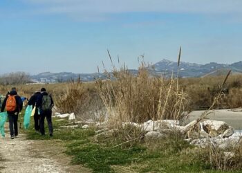 Una passeggiata per la raccolta della plastica sull’argine del fiume Tronto