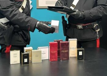 Fa incetta di profumi e li nasconde sotto al maglione, fermato dai carabinieri