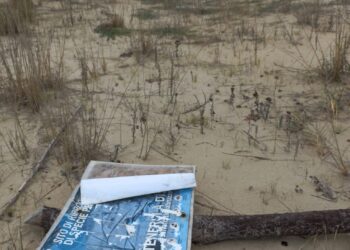 Distrutta la Spiaggia della Riserva Borsacchio, danni per migliaia di euro