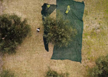 Un’Area vestina come porta ai parchi: il progetto della candidata alle regionali Stefania Peduzzi