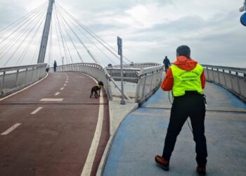 Cani molecolari in addestramento, in Abruzzo da tutta l’Italia
