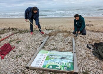 Ennesimo episodio di vandalismo ai danni della Riserva del Borsacchio