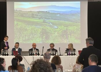 L’azienda vitivinicola abruzzese Codicedivino cambia nome e diventa Nododivino