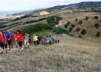 Taglio della Riserva congelato: proposta di adozione del piano di assetto naturalistico