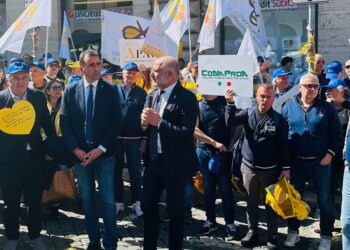 Miele, D’Eramo: sistema di qualità nazionale e comunicazione per sostenere filiera strategica