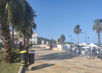 Vasto, scatta l’obbligo per padroni dei cani di pulire anche l’urina degli animali