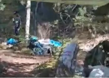 Capanne come bazar della droga in mezzo ai boschi, arrestati due extracomunitari