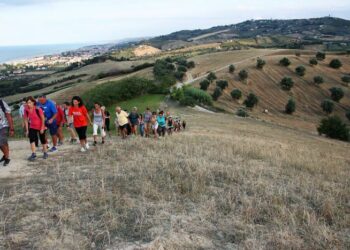 Il Ministero della Cultura Boccia il Taglio della Riserva del Borsacchio, Borgatti: una decisione Cruciale