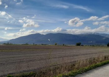 Piccoli coltivatori, De Blasis: “Con la revisione della Pac, riduzione degli oneri”