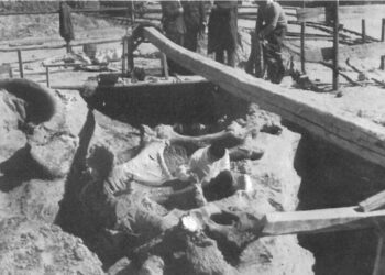 Settant’anni fa il ritrovamento a Scoppito del Mammut