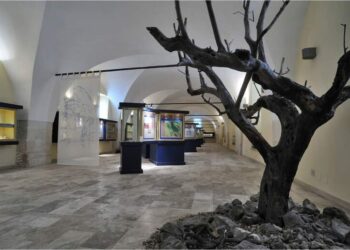 Musei: Sulmona ha incassato solo 15mila euro in un anno