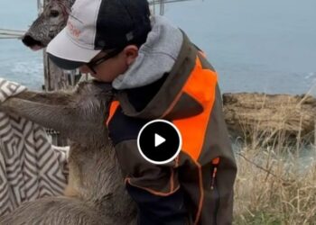 Capriolo rischia di affogare, il 14enne Samuel lo salva: i video e le foto dell’impresa