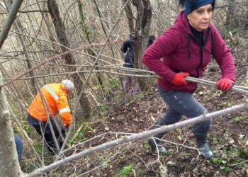 Asbuc Paganica e San Gregorio, volontari all’opera per ripulire il parco del castello e di Santa Maria