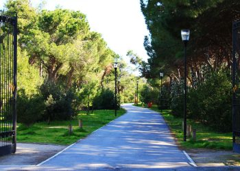 Allarme vento forte in tutta la Regione, chiusa la Pineta Dannunziana