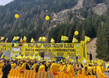 Coldiretti, al Brennero centinaia di abruzzesi per chiedere lo stop ai prodotti stranieri senza regole
