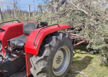 Gli 80 anni Coldiretti, in Abruzzo assemblee in tutte le province