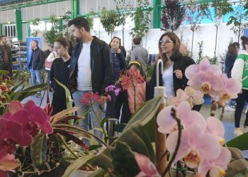 Successo per l’edizione 2024 della mostra del fiore Florviva: appuntamento al 2025