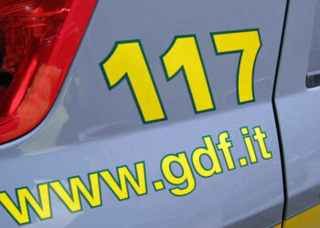 Carne fresca e congelata, la Guardia di finanza scopre frode “carosello” da 8 milioni di euro