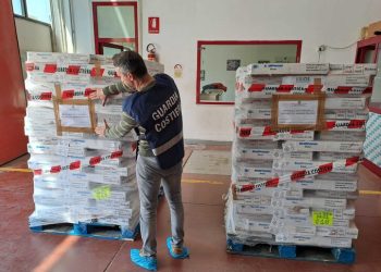 Calamari congelati senza l’apposizione dell’etichetta obbligatoria: sequestrate ben 2,6 tonnellate di pesce