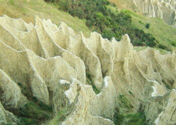 Terza edizione del corso di educazione ambientale della Riserva Naturale Regionale dei Calanchi di Atri
