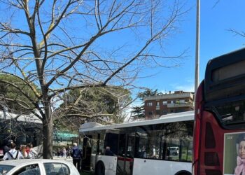 Autista perde il controllo, scontro di bus: grave una bimba di pochi mesi