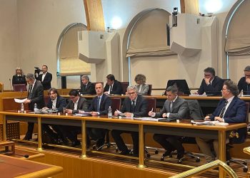 D’Amico sul nuovo consiglio regionale: “nessuna linea chiara per il futuro dell’Abruzzo”