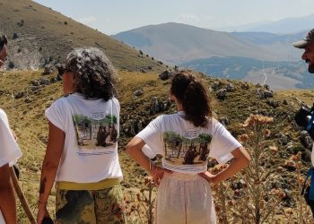 Tornano i campi orso dedicati alle famiglie nella riserva Oasi Wwf Gole del Sagittario