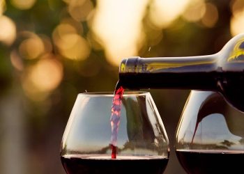 Vinitaly: studenti Università di Camerino studiano comparto vitivinicolo abruzzese