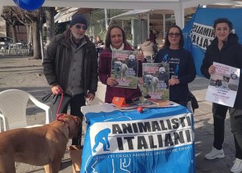Spiaggia per animali, lettera aperta di Unica beach al sindaco: “violazione del regolamento”