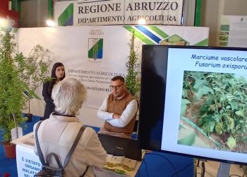 Mostra del Fiore Florviva, ecco quali sono le minacce per le piante in Abruzzo