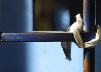 Suicidi in carcere, si investe nella prevenzione: stanziati 5 milioni di Euro