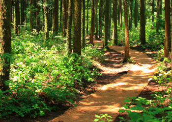 Cai e Officine del Gran Sasso insieme sui sentieri