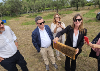 Europee Cucchiarella: stop a invasione del finto miele di provenienza extra Ue