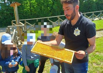 Contatto con la natura e gioco, ecco l’apiario didattico: per conoscere il mondo delle api