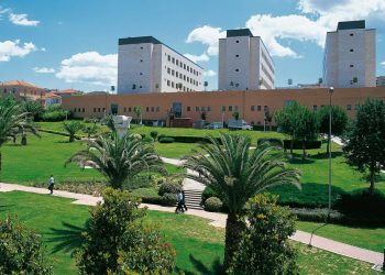 Nuovo simposio al campus di Chieti sugli effetti degli interferenti endocrini sulla salute