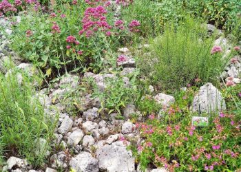 “Appuntamento in giardino”, in Abruzzo 5 passeggiate nel weekend