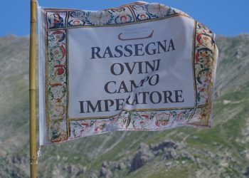 Campo Imperatore, al via la 64esima edizione della rassegna ovini: candidature entro metà luglio per partecipare