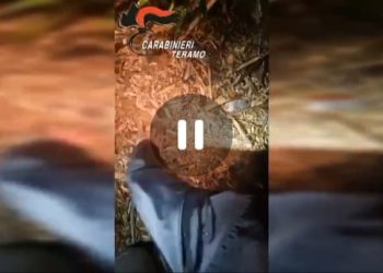 Oltre un chilo di cocaina sepolta nel terreno: due stranieri in manette (video e foto)